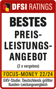 Abbildung Prüfsiegel DFSI Ranking - Bestes Preis-Leistungsangebot