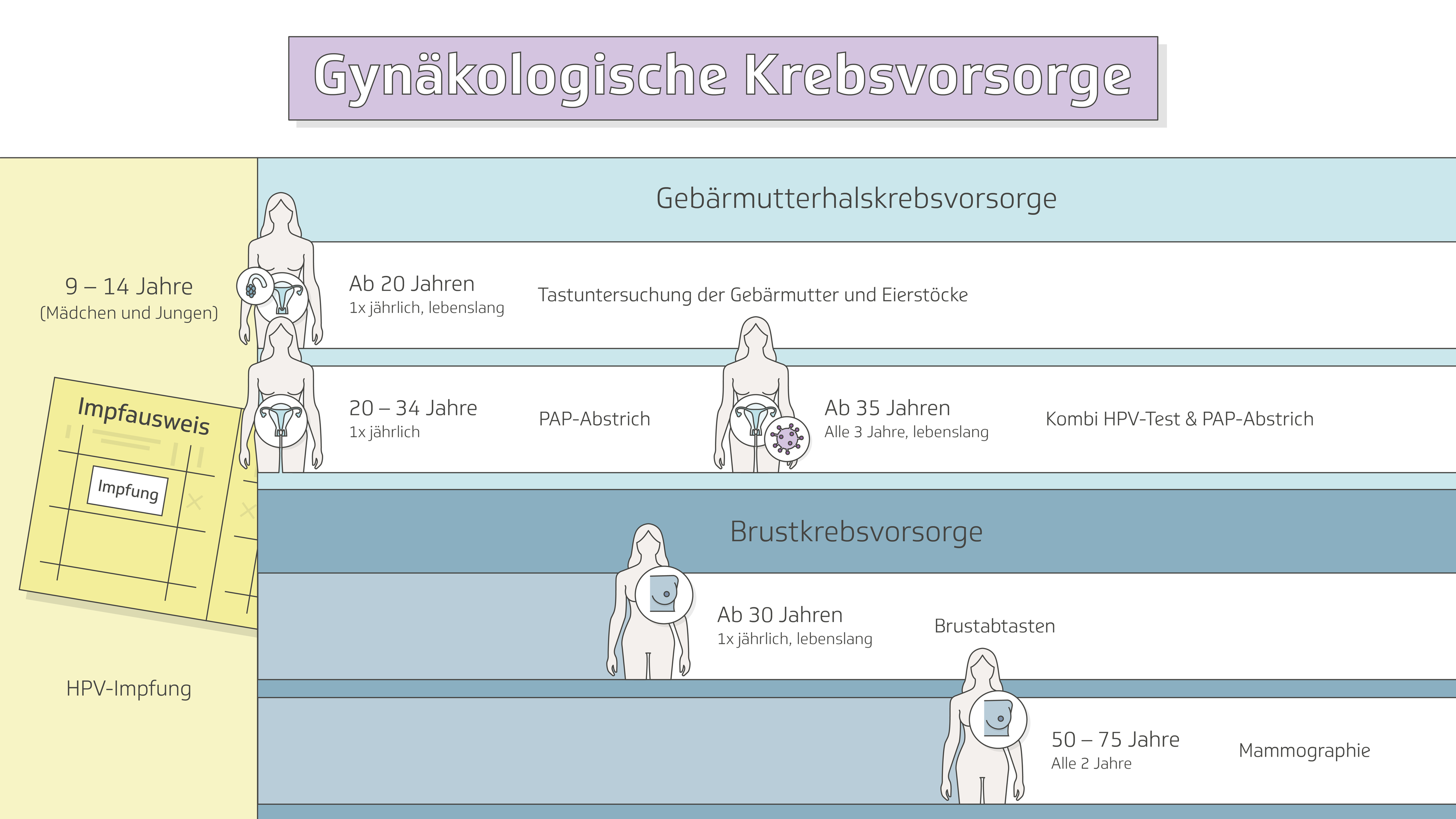 Auf dem Bild sind die Altersklassen und Handlungsfelder der gynäkologischen Krebsvorsorge abgebildet.